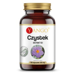 Immunität des Körpers